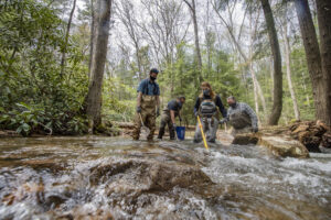 WVU earns record $203 million for research funding